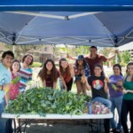 potluck at av garden