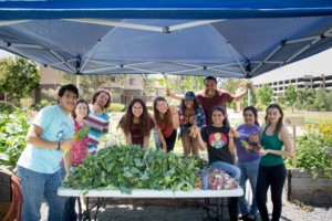 potluck at av garden