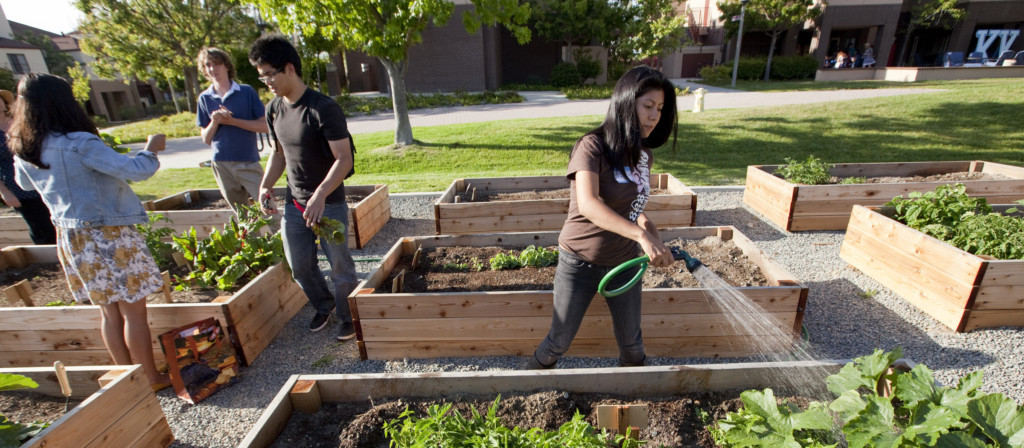 people work in a garden