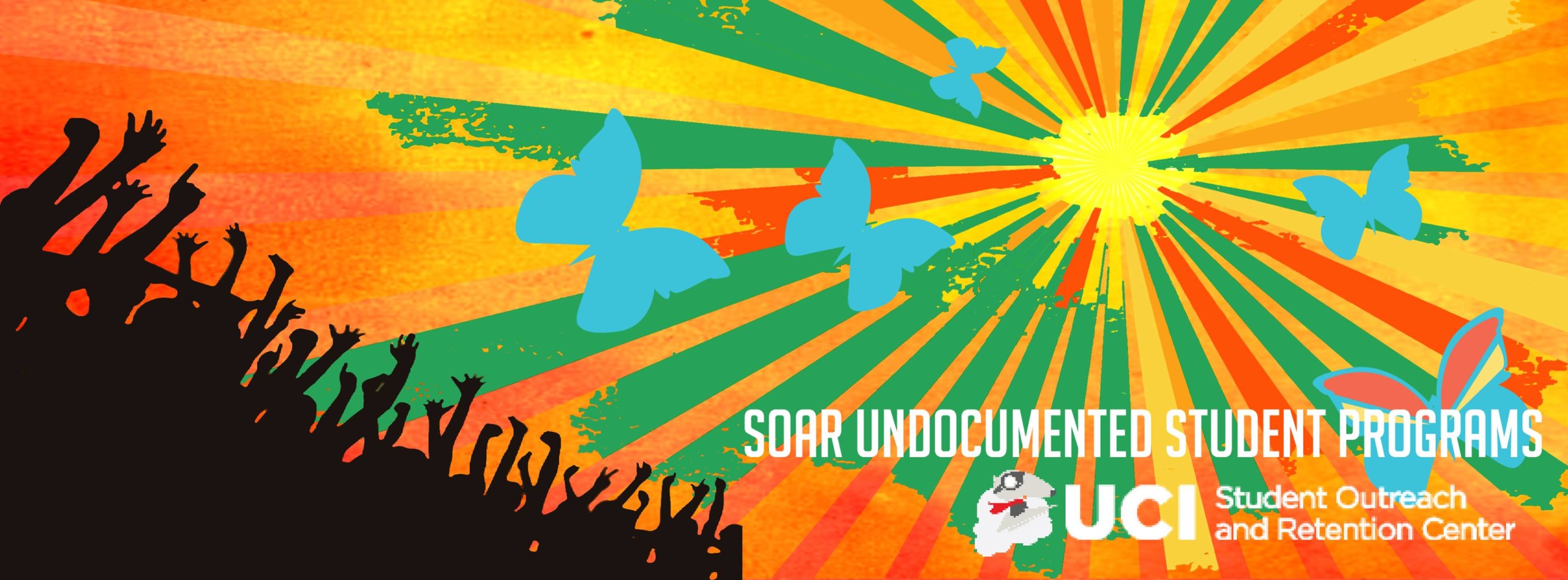 soar undocumented student programs