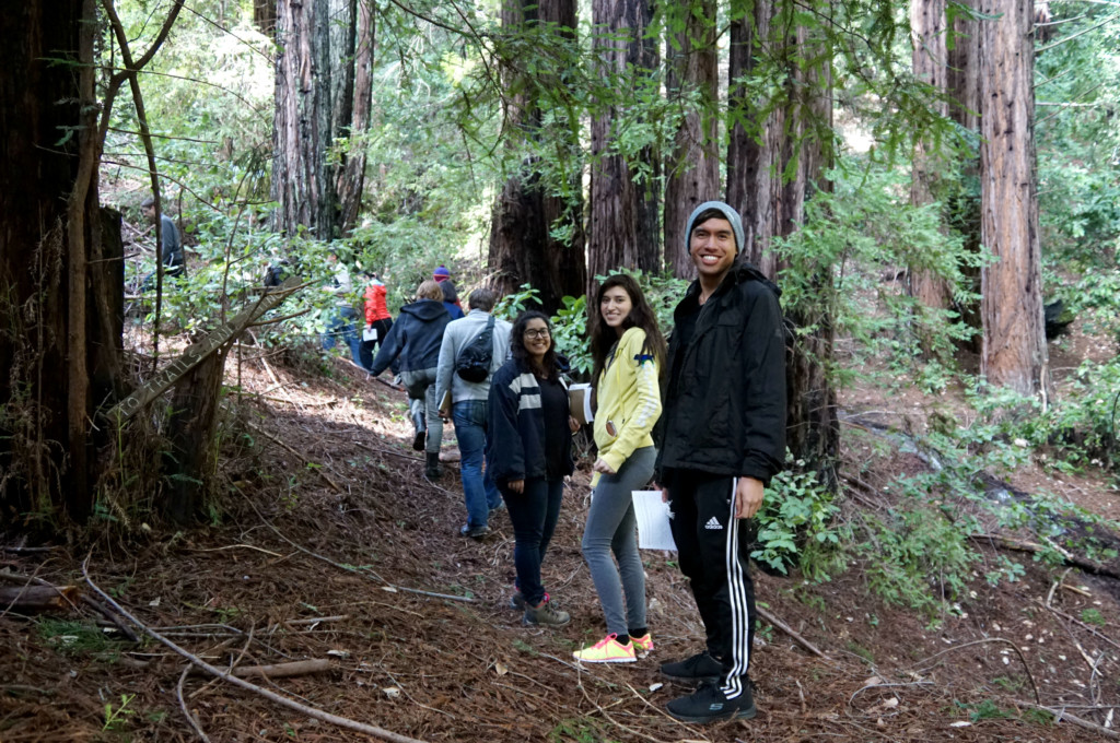 forest group photo