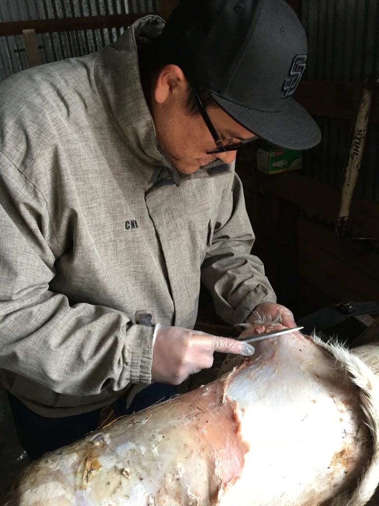 man trimming bark